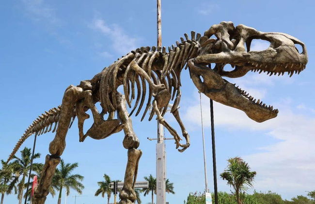 Excursion au musée des météorites et au sentier jurassique - Photo 2