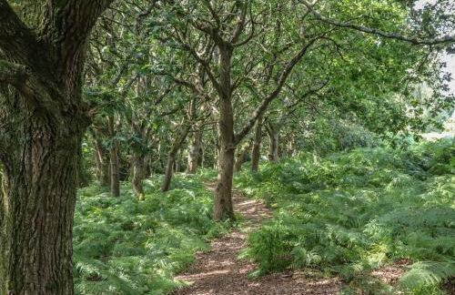 Pheasant Lodge - Photo 38