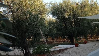 Dimora Basso - Foto 5, Garden