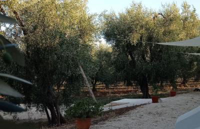 Dimora Basso - Foto 5