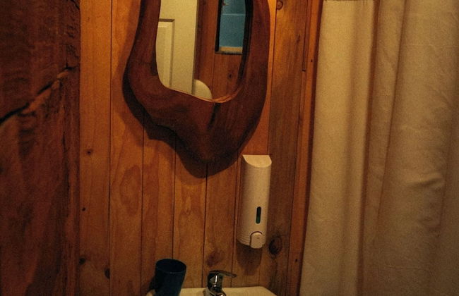 Cabañas Ensenada Bosque Nativo - Foto 34