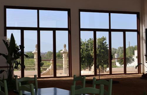 Pátio das Ribeiras - Foto 49