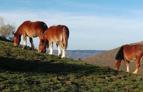 Zaldierna al sol, aldea del siglo XVIII Ezcaray - Photo 28