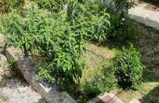 MAISON PROVENCE AVEC PISCINE PRIVATIVE - Foto 17