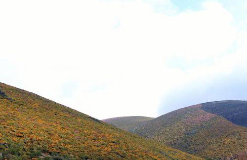 Casa do Vale de Cerdeiras - Foto 39