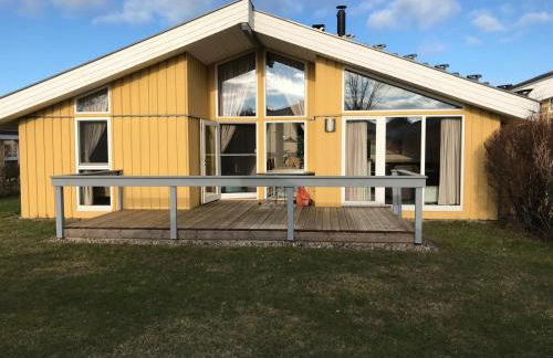 Seeschwalbe 47 - Photo 4