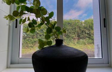 Pura Vida - Photo 26