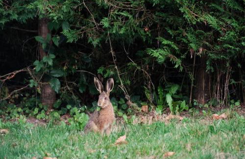 Beautifully located country house with heated pool - Foto 39