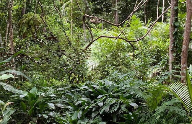 Vila Morena Altos de Itapororoca - Foto 78