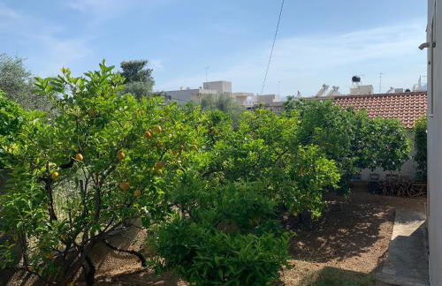 Αβαντιάς Abantias - Photo 20