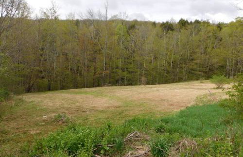 Catskill Mountain Retreat - Foto 66