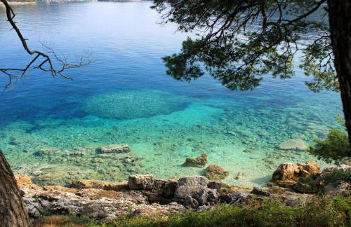 Apartments by the sea Ubli, Lastovo - 8354 - Foto 22