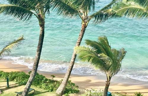 Luxurious Beachfront Condo - Foto 41