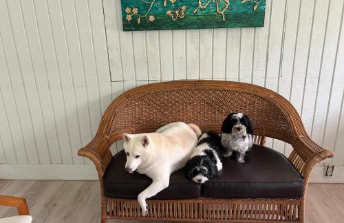 Happy Place near WEC , Natural Springs,Zip-Line - Photo 53