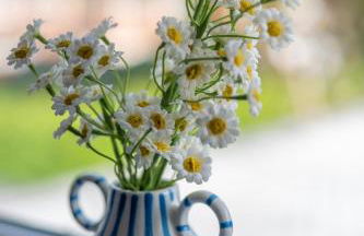 Cosy Clay Home - Foto 10