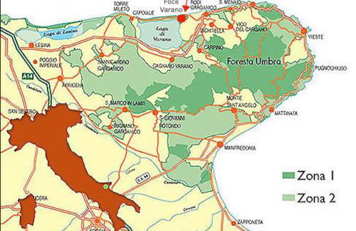 Summer Holidays Apartments - Foto 20