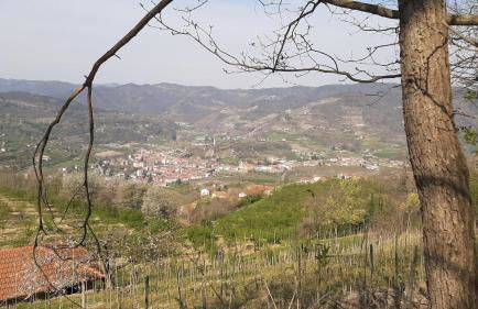 La cuccia del sole - Foto 19