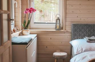 sosnowelowe - Foto 16