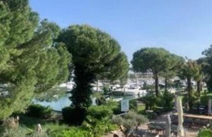 Stella marina - Photo 14