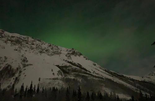 Little Bear Getaway Cabins - Foto 79