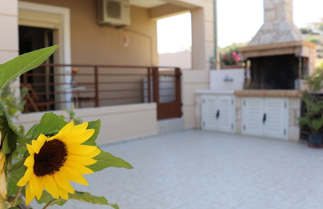 Helianthus - Foto 23