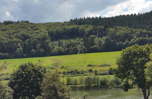 ferienhaus-raju-zeltingen - Foto 57