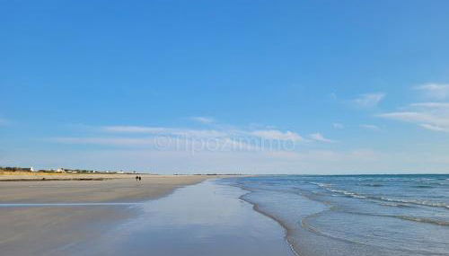 Tipoz'Immo - Ti Marin 500m de la plage et restaurant à pied - linge inclus et lits faits - wifi inclus - grande terrasse plein sud - spacieuse - lumineuse - Foto 3