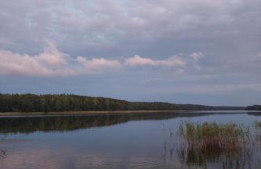 Otulony słońcem - domek do wynajęcia Marksewo - Foto 15