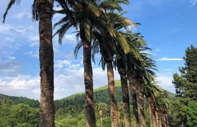 Relax Zone Apartment - Photo 18