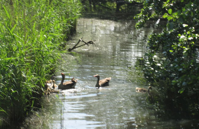 Hus Mattgoot - Foto 32