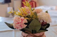 Ferienwohnung Gentsch in Schmannewitz - Foto 8