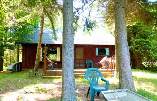 Rustic Cabin Rental on a Wildlife Sanctuary in Manistee, Michigan - Foto 11