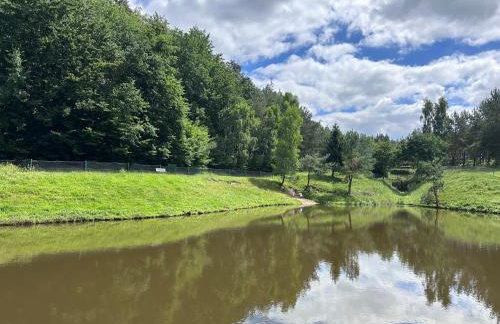 Żywiołowo - domki w stylu stodoły z placem zabaw i stawem - ZIEMIA - Foto 16
