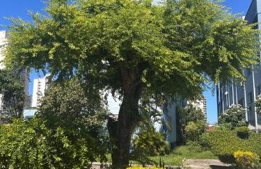 Descanso a poucos passos do mar! - Foto 50