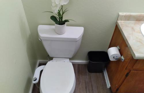 NEW! Cozy & Secluded House w/Deck - Near Yosemite! - Foto 39