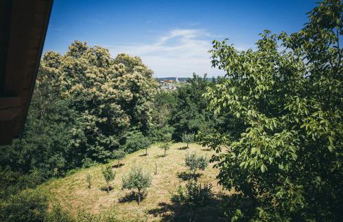 Kuća za odmor Suha gora - Foto 39