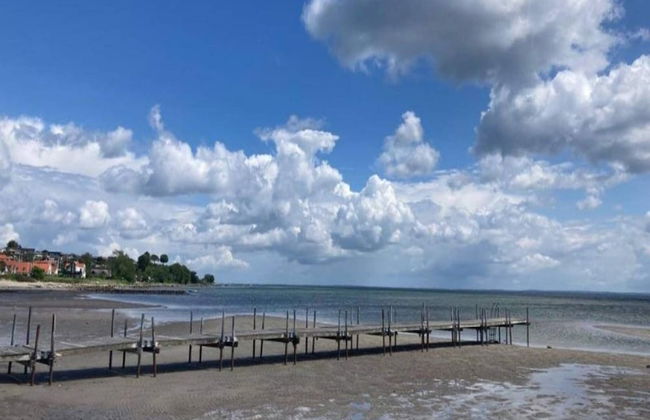 6 Person Holiday Home on a Holiday Park in Hejls - Foto 23