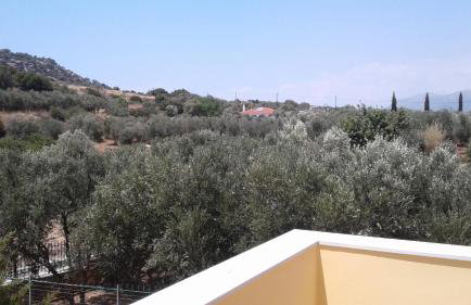 Savvas Apartments - Photo 49