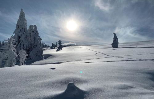 Stube9 am Feldberg, direkt an der Skipiste, Ski in-Ski out - Photo 56