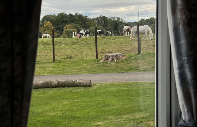 Berwick-upon-tweed - Caravan - Sleeps 6 - Parking - Foto 19