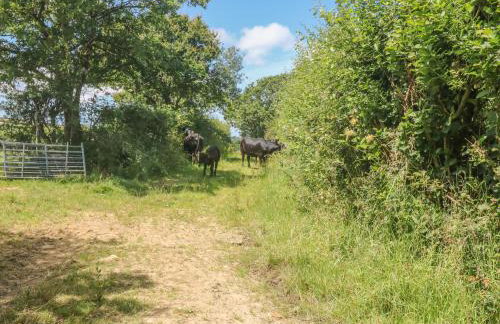 Lower West Curry Cottage - Foto 14