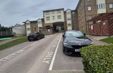 The Green Dream - Photo 2