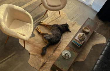 Industrial Artist Loft at Iconic Property - Foto 30