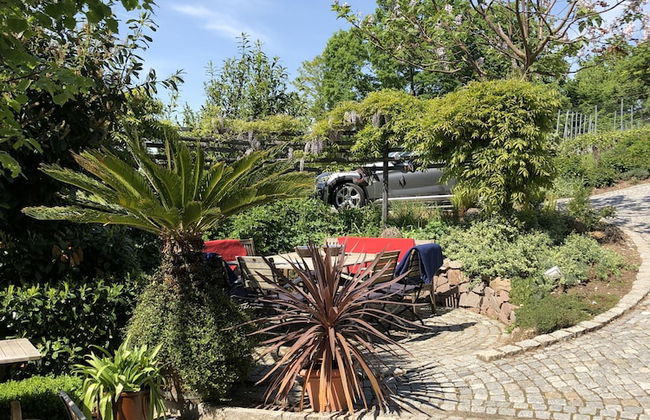 Rebenhaus Meißen - Foto 30