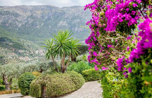 Sa Pedrissa - Foto 21