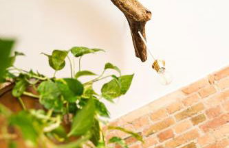 Altstadt Apartments - Photo 25