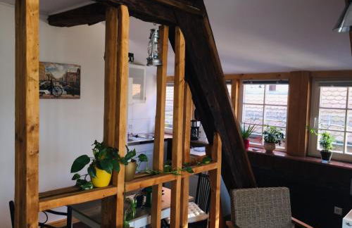 Neckarblick,Natur, Altstadt - Photo 61