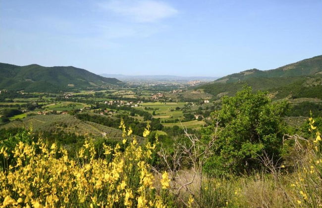 Veldenberg Nature Resort Stay - Foto 37