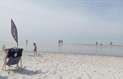 Familienfreundliches Ferienhaus Salzhaff-Urlaub - Foto 43