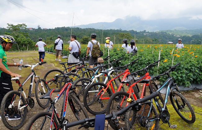 Bagus Agro Pelaga - Foto 59